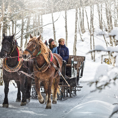 Transporte Terrestre (Trenó)