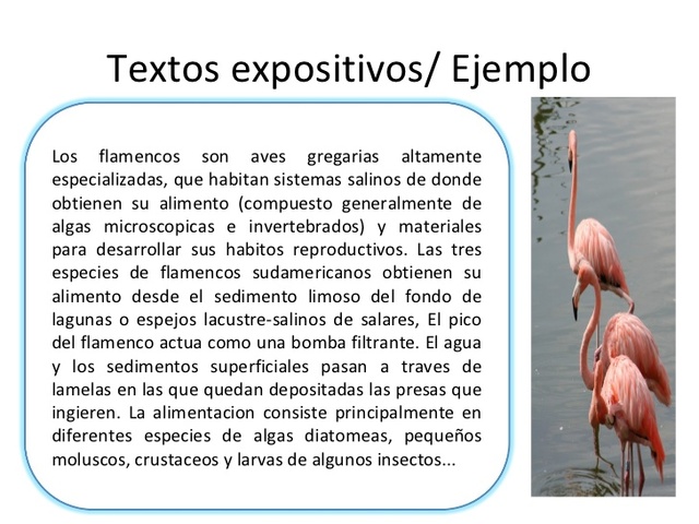 TEXTOS EXPOSITIVOS