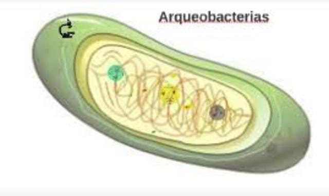 Las  arqueobacterias les dan ese color único a los manantiales