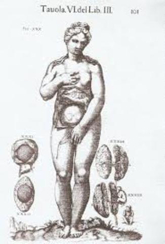 El cuerpo anatomizado