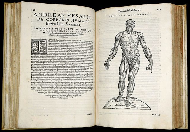 Anatomía del corpo humano