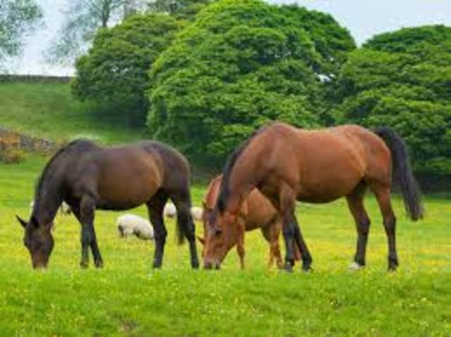 El motor del planeta es el vinculo, todo esta vinculado en el planeta