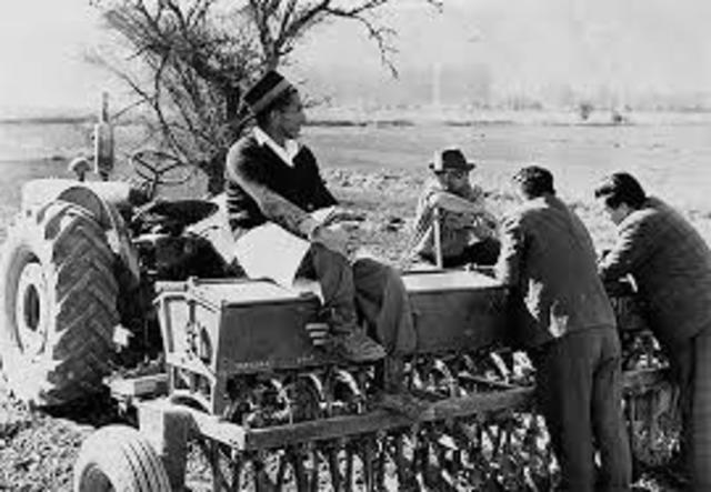 Las cuatro estrategias