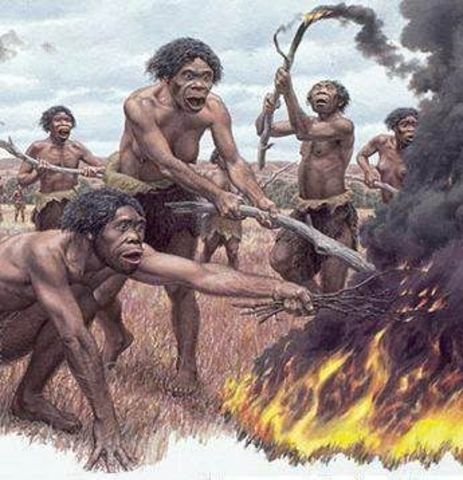 Se inicia el proceso de aprendizaje del fuego