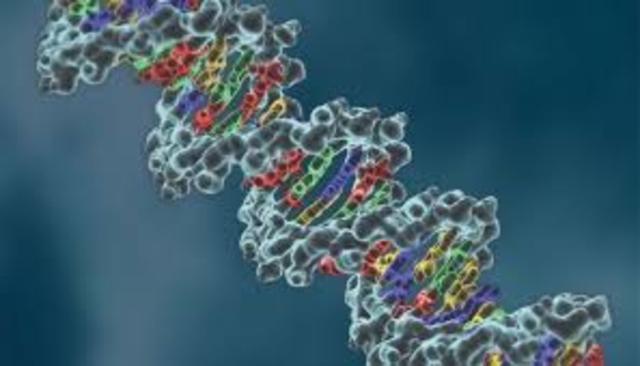 Método CRISPR sigue avanzando