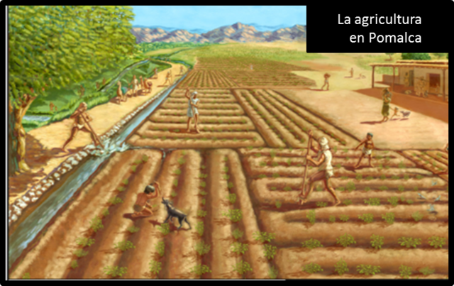 Menos de 1000 años se inventa la agricultura