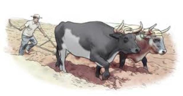 El hombre busca la ayuda de los animales para  cubrir la fuerza que necesita y extenderse mas allá de los limites que tenia