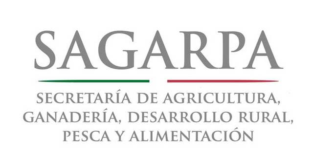 LA ECOLOGÍA MODERNA