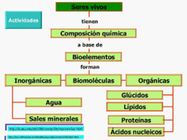 Clasificación de Biomoléculas