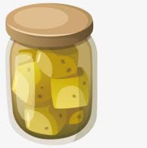 Desarrolló de la fermentación