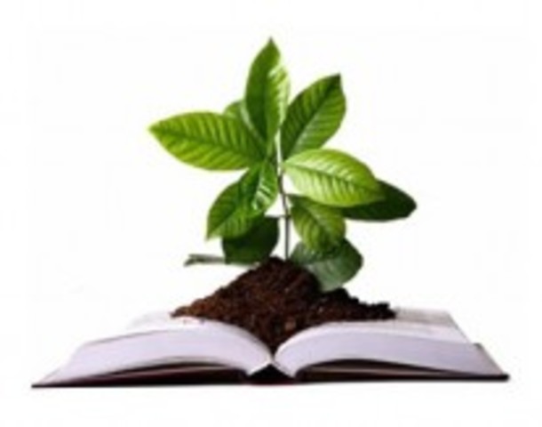 Sección de Investigación y Agrícola