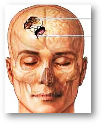 D.R. Carlos J rodriguez izquierdo