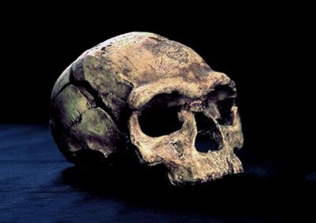 Periodo Clásico (1861-1945)