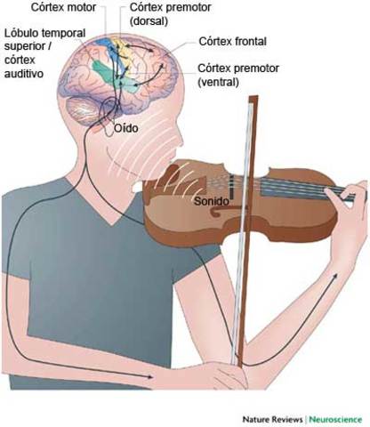 Periodo Moderno (1945-1975)