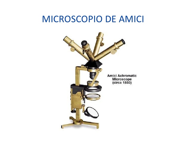 Microscopio de Amici