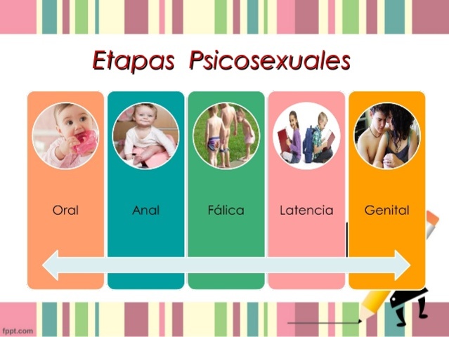 Etapa psicosexual. (Sigmund Freud)