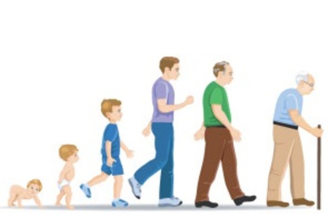 Desarrollo psicosocial. (Erick Erickson)