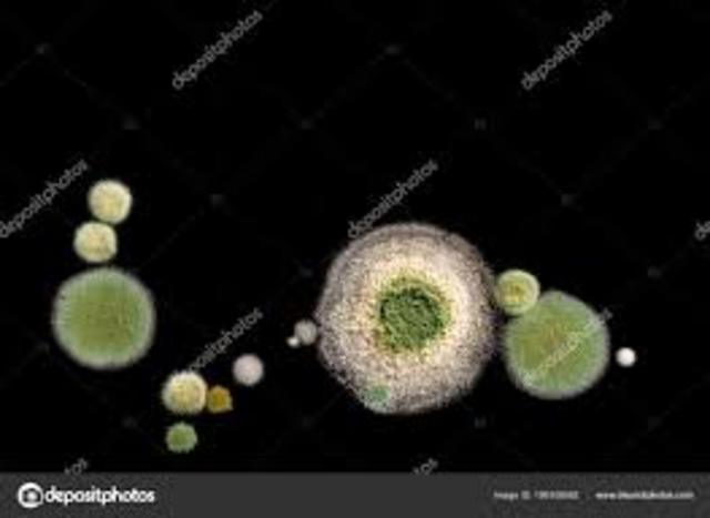 Período de la macrociencia