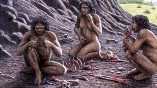 Pré-História: Paleolítico