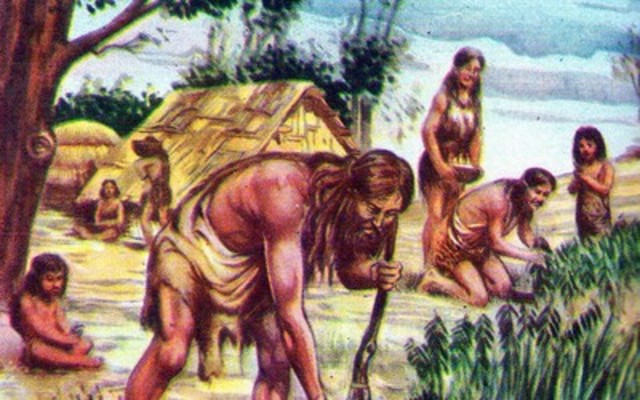 Pré-História: Neolítco