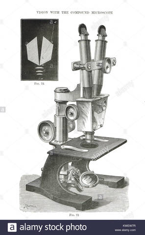 John Leonard Riddell