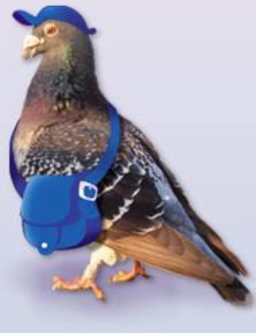 776 anos antes de Cristo: Pombos Correio