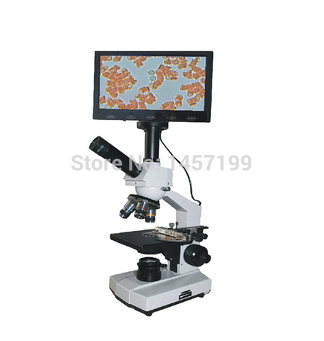 Richard Adolf Zsigmondy