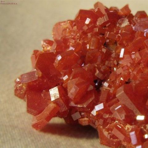 Andres del rio descubre el vanadio en nueva España