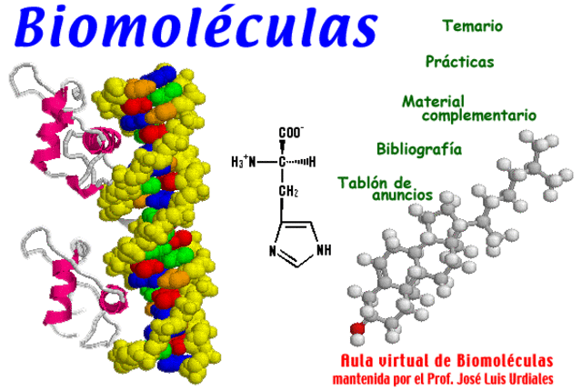 BIOMOLÉCULAS
