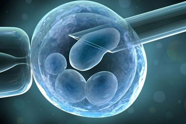 CULTIVO DE CELULAS PRODUCTORAS DE INSULINA