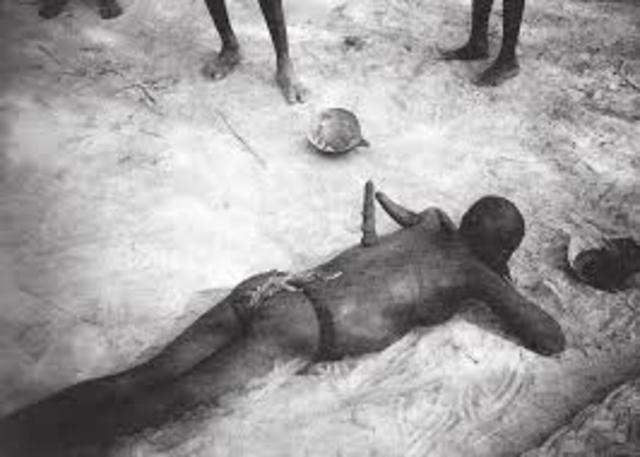 La Fisioterapia en el mundo Primitivo