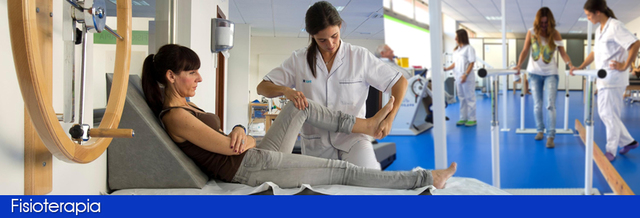 La fisioterapia como profesion