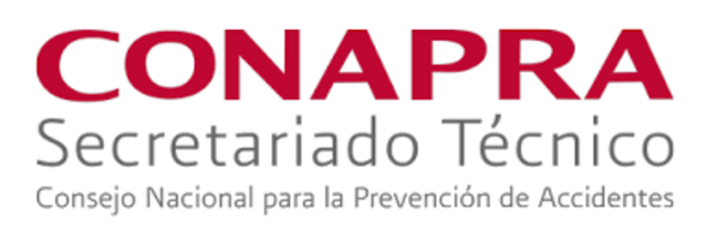 Seguridad Ocupacional Contemporánea