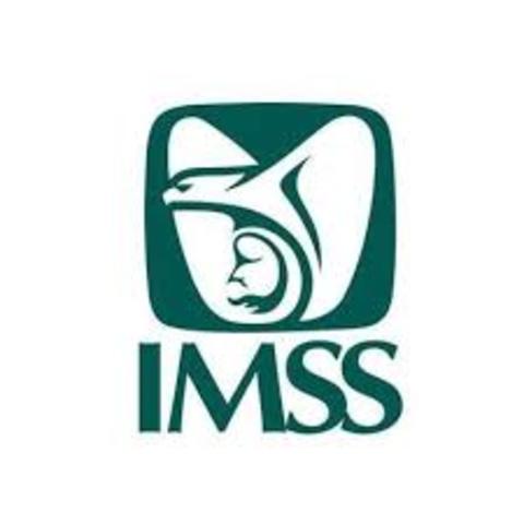 Control interno en IMSS