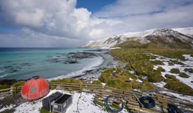 When was Macquarie island declared a wildlife sanctuary