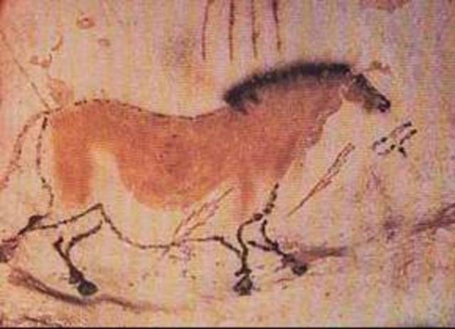 principios de la veterinaria