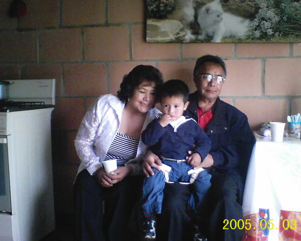 displasia de caderas