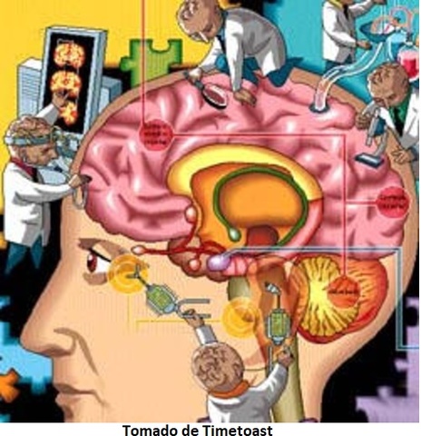 “Objetos de Conocimiento”