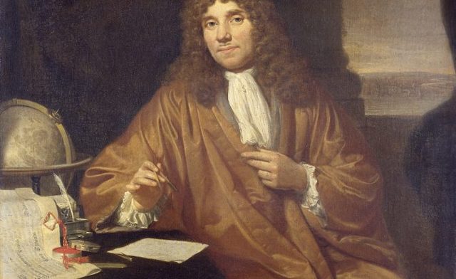 Leeuwenhoek observa...