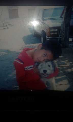 La segunda integrante perruna de la familia