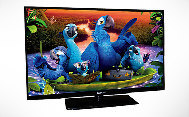 Television ( 4 yrs old )