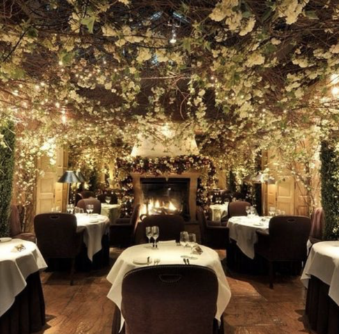 Té World's Collide: paces