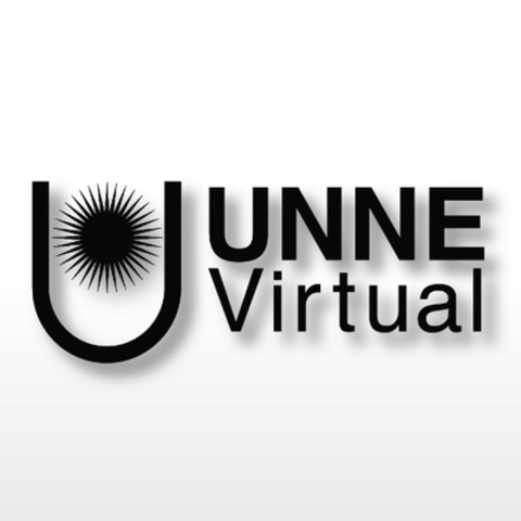 Creación del Programa UNNE Virtual de la Universidad Nacional del Nordeste - Ana
