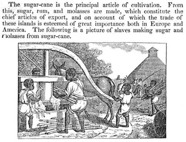 The role of rum in Trans-Atlantic trade