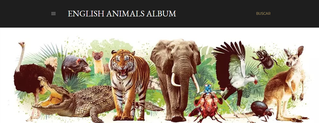 BLOG: ENGLISH ANIMALS ALBUM