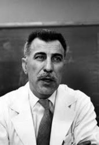 Representational Level