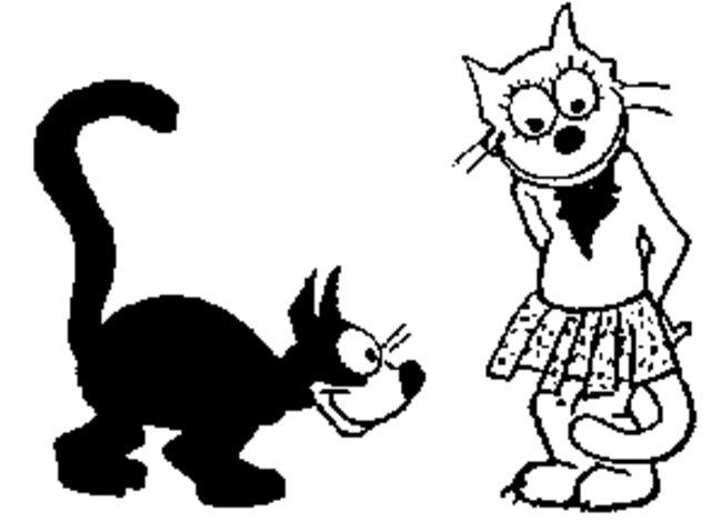 The Debut Of Thomas Cat