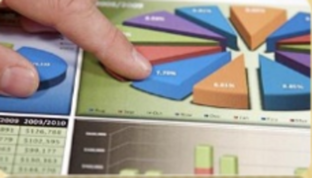 Año internacional de la estadística