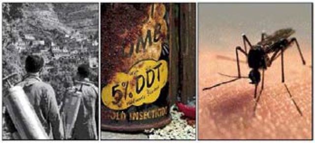 Paul Hermann Müller