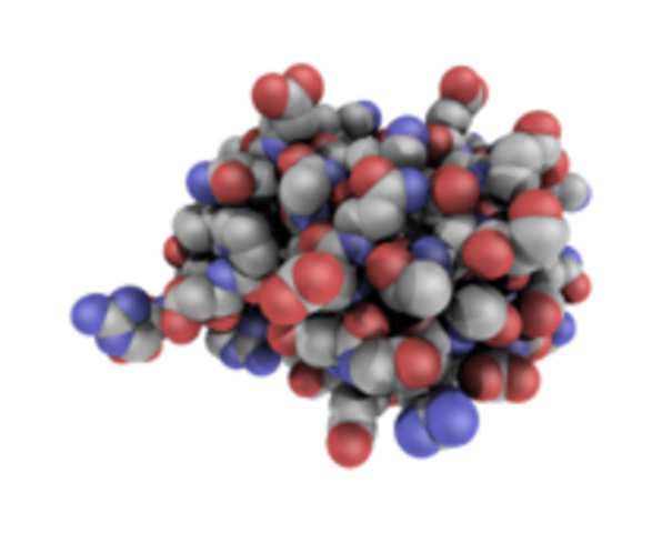 Aarón Ciechanover, Avram Hershko, Irwin Rose